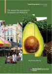 Avocado Export Development Plan 2014