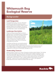Whitemouth Bog Ecological Reserve