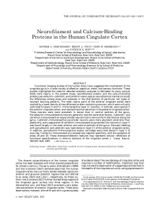 Neurofilament and Calcium-Binding Proteins in the