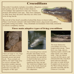 Three main adaptive types of living crocodilians
