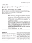 Expression Pattern and Clinical Prognostic