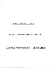PLANT PROPAGATION SEXUAL PROPAGATION ---