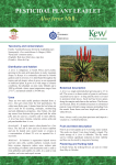 pesticidal plant leaflet - Agroforestry World