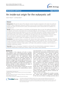 An inside-out origin for the eukaryotic cell