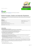 Cellular Processes: Aerobic and Anaerobic Respiration