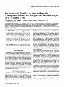 Bacterial and Firefly Luciferase Genes in Transgenic Plants