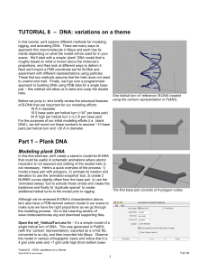TUTORIAL 8 – DNA - Molecular Movies