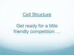 Cell Structure Get ready for a little friendly competition….