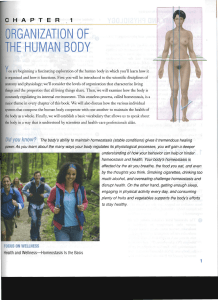 ORGANIZATION OF THE HUMAN BODY
