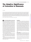 The Adaptive Significance of Coloration in Mammals