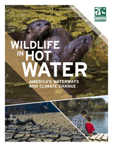 Wildlife in Hot Water - National Wildlife Federation