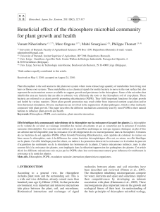 . — Beneficial effect of the rhizosphere microbial community for plant