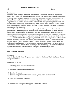 Monocot and Dicot Lab2