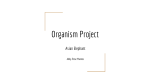 Organism Project