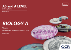 Nucleotides and nucleic acids - Delivery guide