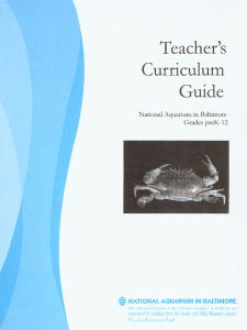 Teacher`s Curriculum Guide