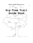 Big Tree Trail Guide Book - Beaver Brook Association