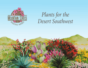Plants for the Desert Southwest - Mountain States Wholesale Nursery