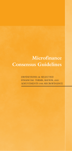 Microfinance Consensus Guidelines: Definitions of Selected