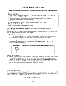 GENETICS AND EVOLUTION OF CORN This activity previews basic