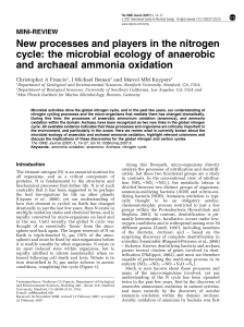 New processes and players in the nitrogen cycle