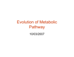 Evolution of Metabolic Pathway