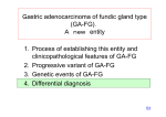 Ｇastric adenocarcinoma of fundic gland type (GA