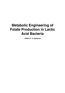 Metabolic Engineering of Folate Production in Lactic Acid Bacteria