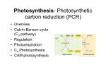 Photosynthesis- Photosynthetic carbon reduction (PCR)