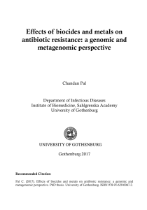 Effects of biocides and metals on antibiotic resistance: a