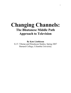 Changing Channels: The Bhutanese Middle Path Approach to
