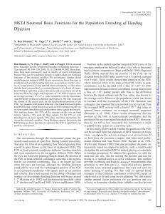 MSTd Neuronal Basis Functions for the Population Encoding of