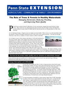 The Role of Trees and Forests in Healthy Watersheds