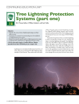 tree lightning protection Systems (part one)