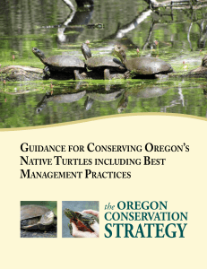 Guidance for Conserving Oregon`s Native Turtles Including
