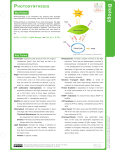 Photosynthesis