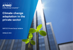 KPMG - UNFCCC PSI database report