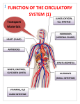 function of the circulatory system (1)