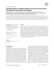 Characterization of a Bacillus anthracis spore coat