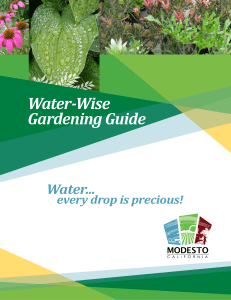 Water-Wise Gardening Guide