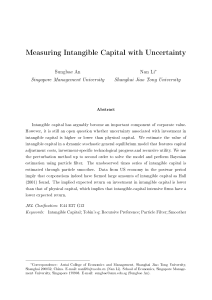 Measuring Intangible Capital with Uncertainty