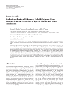 Study of Antibacterial Efficacy of Hybrid Chitosan