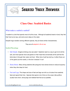 Lesson 1 - Seabird Youth Network