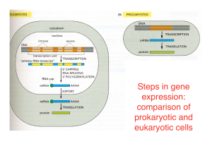 Steps in gene expression: comparison of