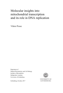 Molecular insights into mitochondrial transcription and its