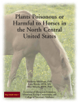 Plants Poisonous or Harmful to Horses in the North Central United