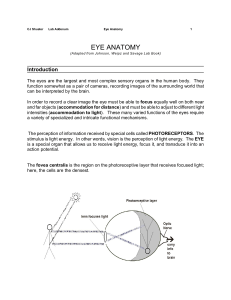 eye anatomy - Madison Area Technical College