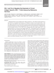 PD-1 and Tim-3 Regulate the Expansion of