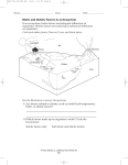 Biotic and Abiotic Factors in an Ecosystem