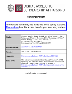 Hummingbird flight - Harvard University